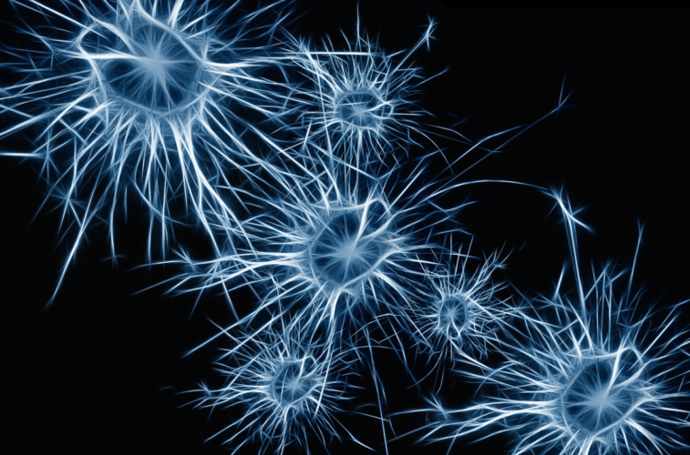 Imagen de neuronas de color azul conectando entre sí sobre un fondo negro.