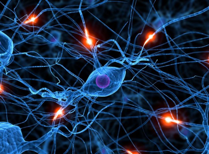 Imagen científica de neuronas haciendo conexión. Azul sobre negro.