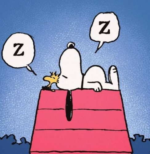 Snoopy durmiendo encima de una caseta de perro