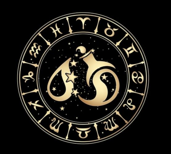 En la imagen el símbolo de acuario en la esfera zodiacal