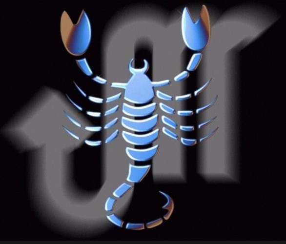 En la imagen un escorpión, símbolo del signo del zodiaco Escorpio