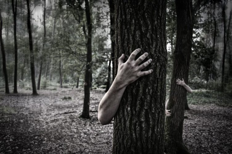 En la foto se ve un bosque tenebroso con manos que salen detrás de los árboles