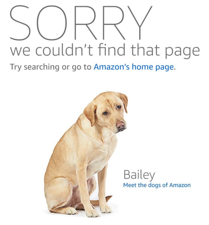 Los perros de Amazon Bailey