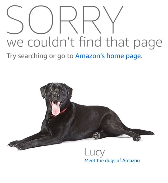 Los perros de Amazon Lucy