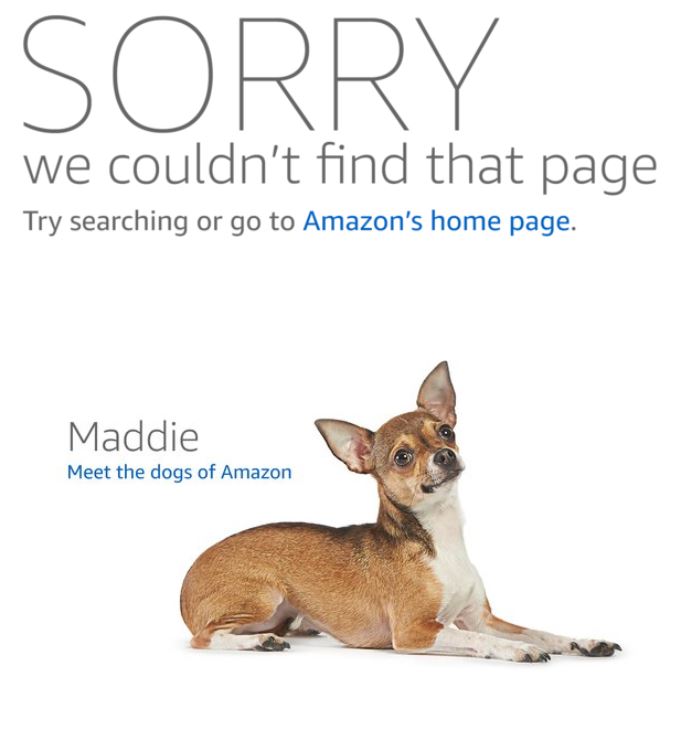 Los perros de Amazon Maddie