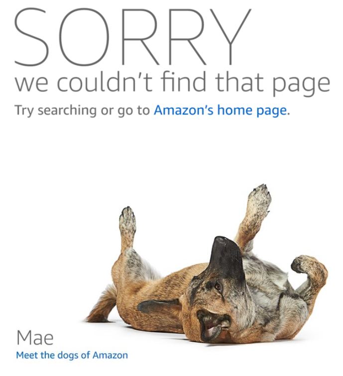 Los perros de Amazon Mae