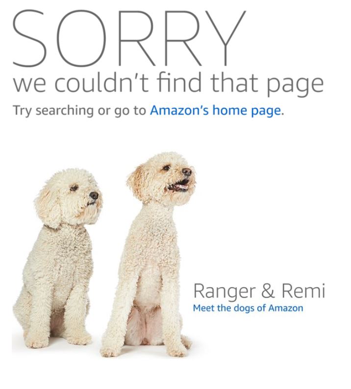 Los perros de Amazon Ranger y Remi